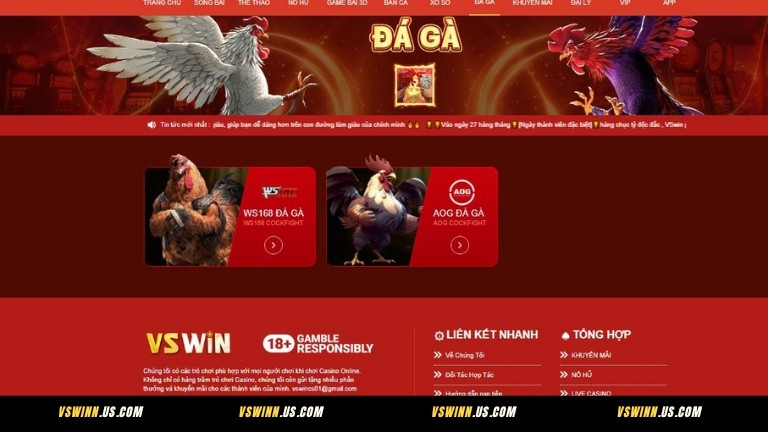 Đá gà VSWIN – Trực tiếp đấu trường kịch tính từng phút