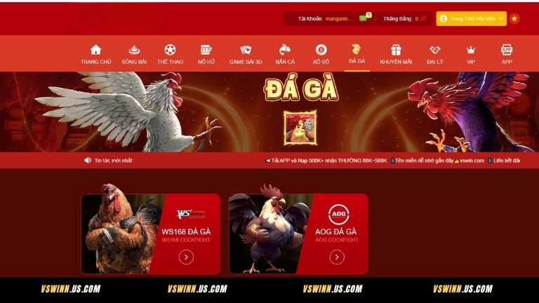 Điểm danh 2 sảnh đá gà VSWIN nổi bật nhất